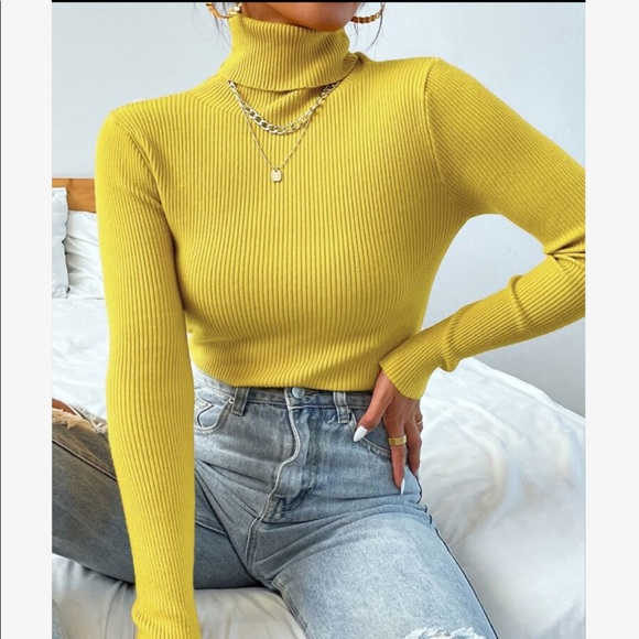 Casual Basic Knit High Neck Turtleneck Top Blouse - Picture 2 of 16